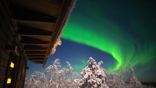 Arctic Giant - Housity