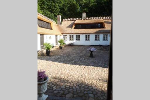 Stråtækt idyl i skoven - Housity