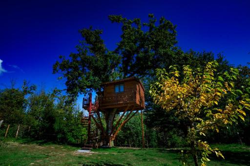 Casa sull'albero Bocchineri - Housity