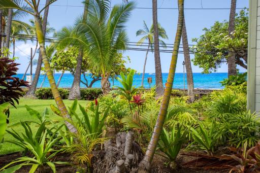 BOOK CHRISTMAS AND WINTER DATES HERE - ISLANDER CoNDOS - Housity