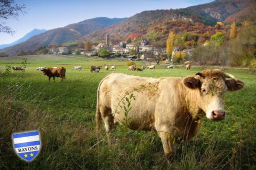 GÎTE LA TANIÈRE DES ALPES - Housity