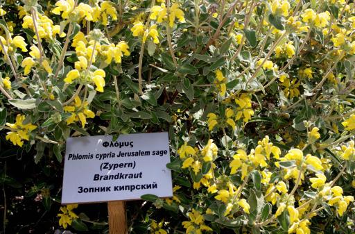 Polis Herb Garden - Housity