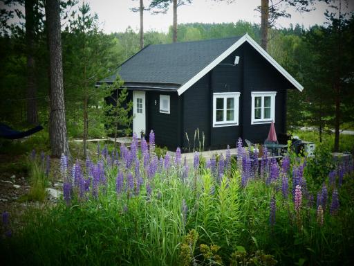 Fröya Timber Cottage - Housity