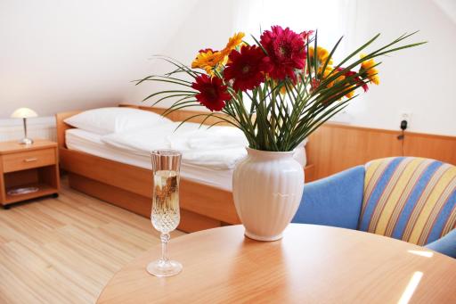 Hotel Pension Kirschstein - Housity