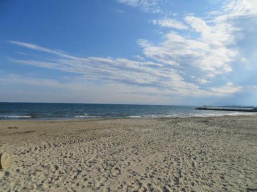 Les Terrasses Du Grand Large Bord de Mer - Housity