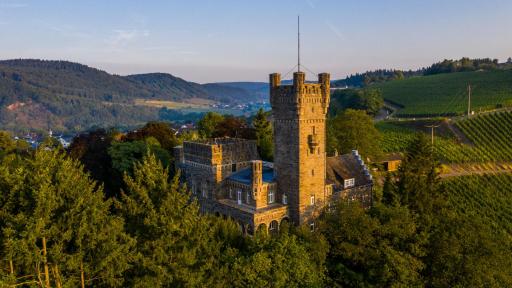 Saar Castle - cozy Mansion near vineyard - Housity