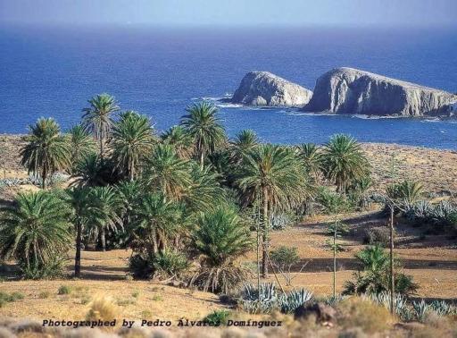 isleta del Moro Daniel - Housity