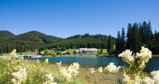 Hotel Teichwirt - Housity
