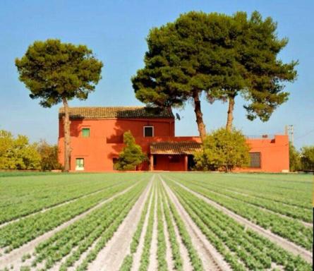Spacious House in Marinella di Selinunte with Terrace - Housity
