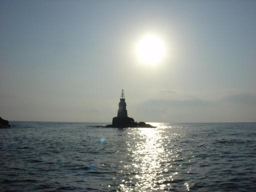 Black Sea Apartments - Housity