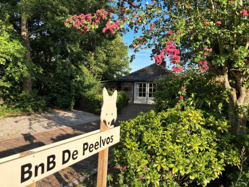 BnB De Peelvos - Housity