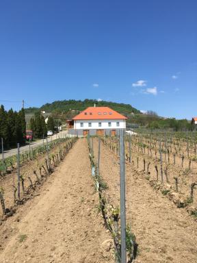 Somló Kolonics Kúria - Housity
