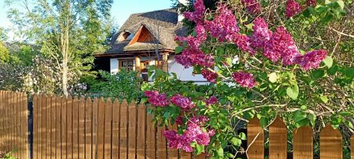 Białowieski Dworek do 10 Gości - Housity