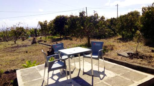 One bedroom house with furnished garden and wifi at Arco da Calheta 2 km away from the beach - Housity