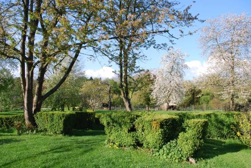 Gites aux Fleurs de Cerises - Housity