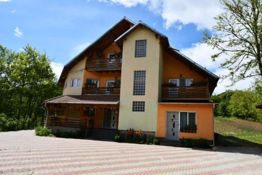 Pensiunea Valea Badilii - Housity