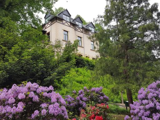 Art-House Kurort Rathen - Housity