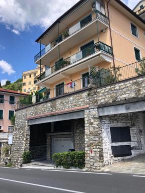 Luce Azzurra Camogli - Housity