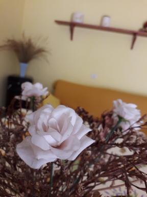 Appartamenti Azzone - Housity