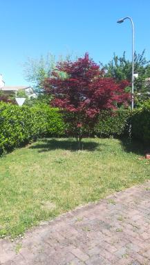 Villa Milena - Housity