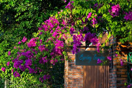 Spring Garden Homestay - Housity