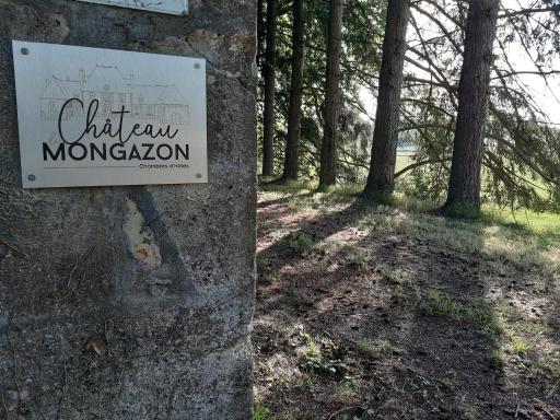 Château de Mongazon - Housity