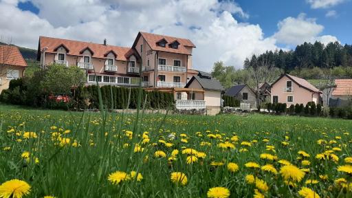 Bed and Breakfast Konoba Jure - Housity