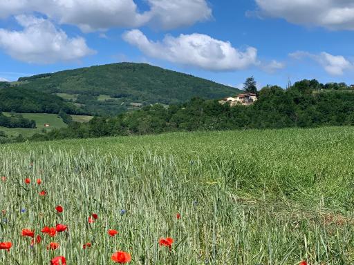 Belle Vue - Hizvo