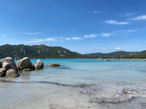 Appartement 2 pièces dans le centre historique de Porto Vecchio - Housity