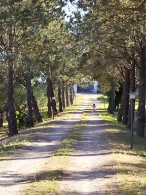 Casina nel Salento - Housity
