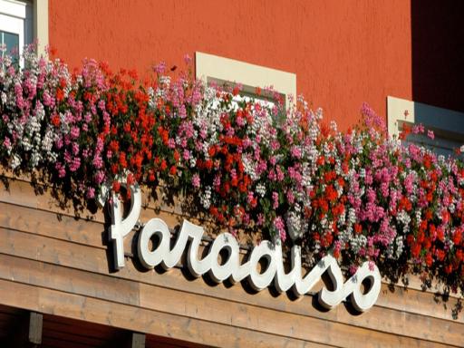 Hotel Paradiso - Housity