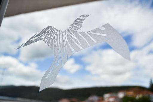 Apartments Galeb - Housity