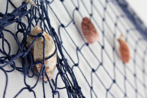 Casa Gatto Miao - Housity