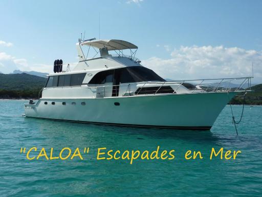 Ocean Yacht Trawler - Le Caloa - Housity