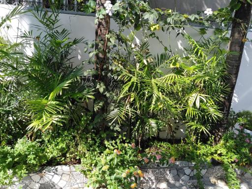 Mia House Homestay Phan Thiet - Housity