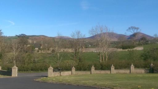 Lyza's Loft - Housity