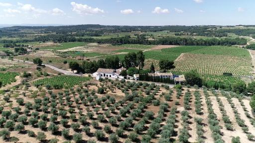 VILASIRA ( Rooms & Wines ) - Housity