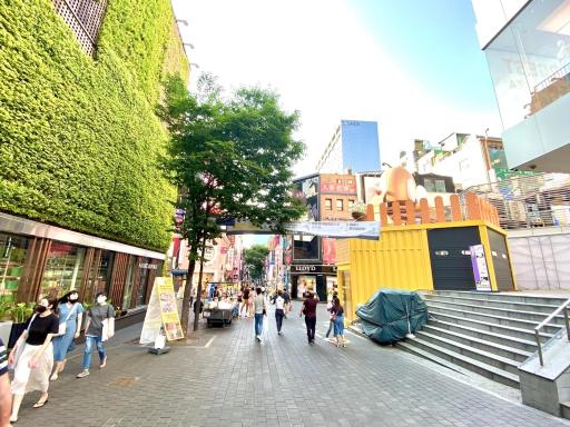 Namsan Forest in Myeongdong - Housity