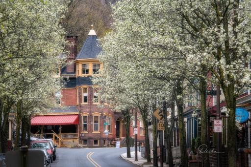 The Dolon House Bed & Breakfast! - Housity
