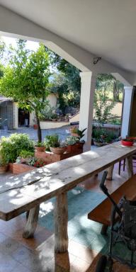 La Gallina Nel Castello - Housity