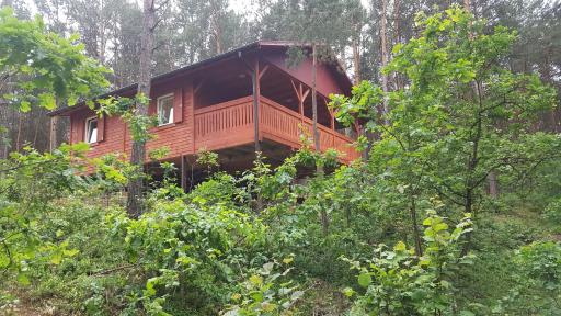 Domki w Sosnowym Lesie - Housity
