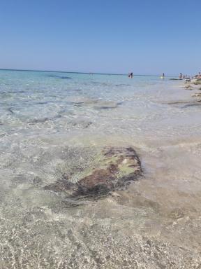 Felline House - Housity