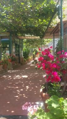Villa dei fiori B&B - Housity
