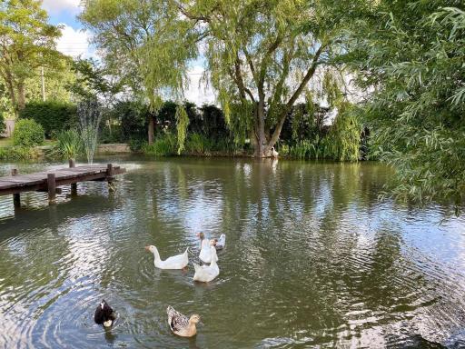 Au coeur de la Flandre - Housity