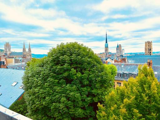 Appartement toit de Rouen - Housity