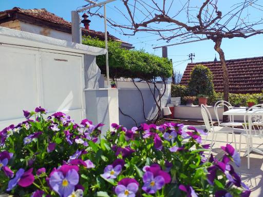 Apartman Kristina - Housity
