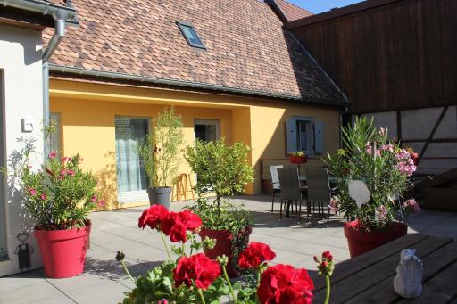 Gîte Le Cep d'Or Alsace - Housity