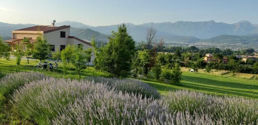 La Radice - Housity