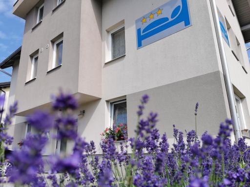 Mondina Guest House - Housity