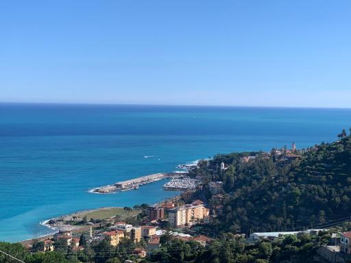 Carpe Diem - Housity